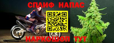 дурь Гусев