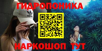 дурь Гусев