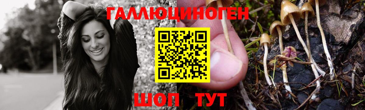 Псилоцибиновые грибы Psilocybe  Вход с VPN  Галлюциногенные грибы Psilocybe  Новоалтайск 